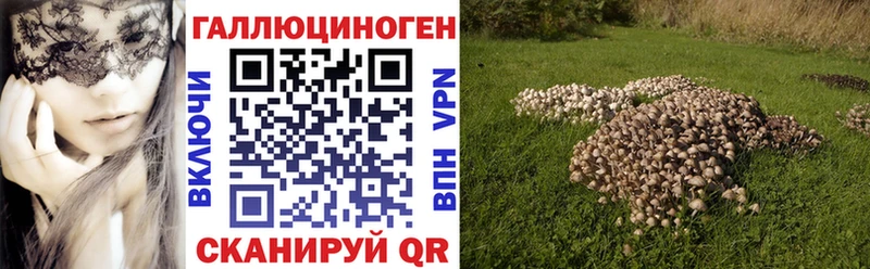 Псилоцибиновые грибы прущие грибы  Усолье 